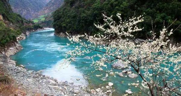 给足“年味儿”!菏泽城区设置20处春联临时销售点!