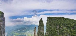 瑞德的冒险之旅中文版