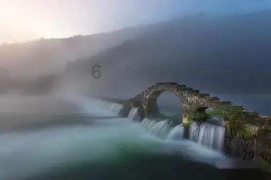 泡沫森林