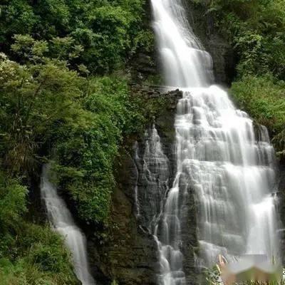 小猫钓鱼正版下载中文版