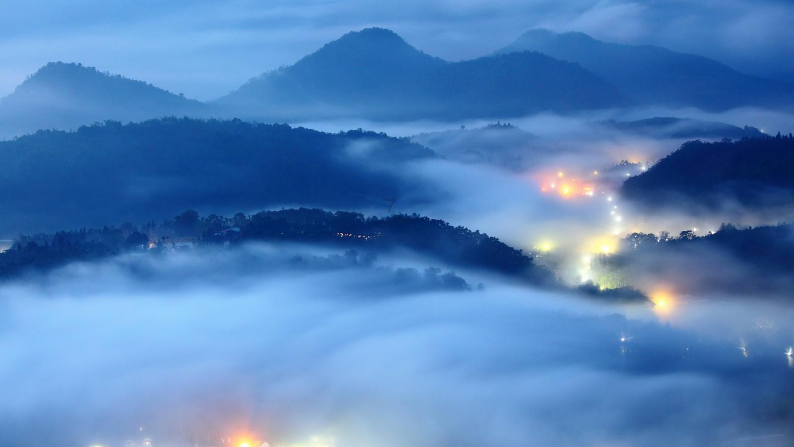 漂亮鹦鹉救援
